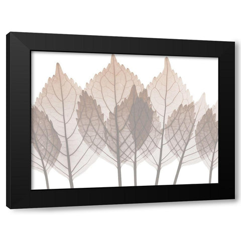 Desert Passion 2 Black Modern Wood Framed Art Print by Koetsier, Albert