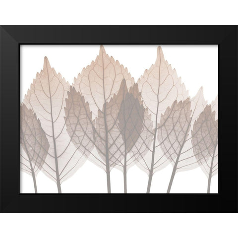 Desert Passion 2 Black Modern Wood Framed Art Print by Koetsier, Albert