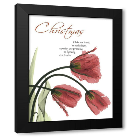 Christmas Tulips 1 Black Modern Wood Framed Art Print with Double Matting by Koetsier, Albert