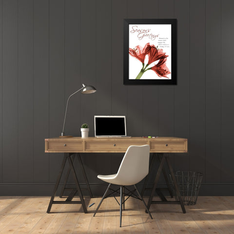 Holiday Amaryllis 1 Black Modern Wood Framed Art Print by Koetsier, Albert