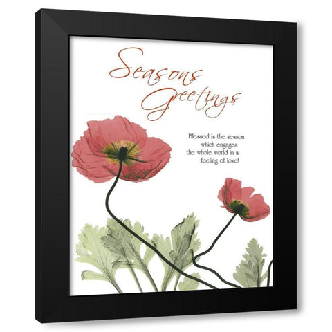 Holiday Poppies 1 Black Modern Wood Framed Art Print by Koetsier, Albert