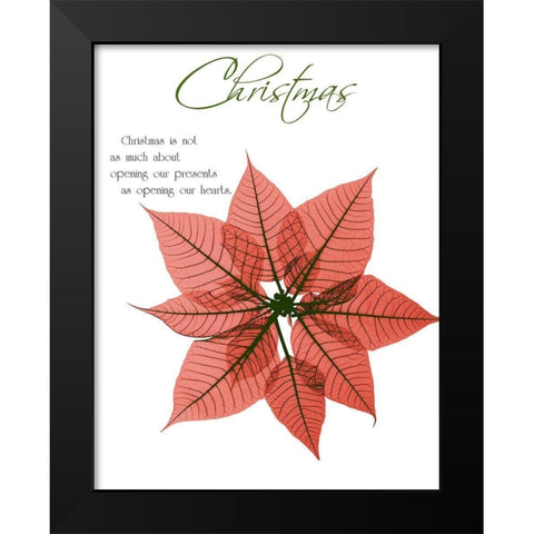 Seasonal Poinsettia 1 Black Modern Wood Framed Art Print by Koetsier, Albert