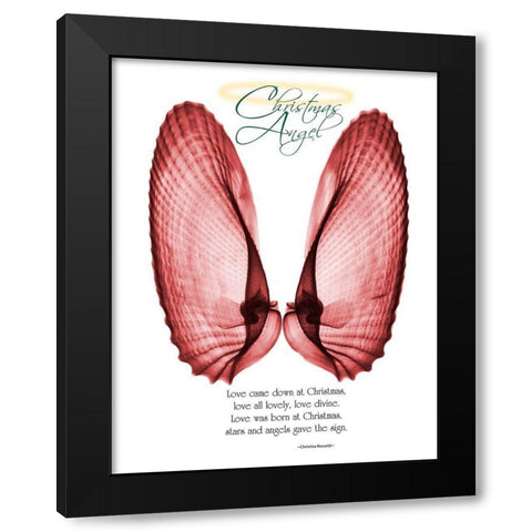 Christmas Wings 1 Black Modern Wood Framed Art Print with Double Matting by Koetsier, Albert