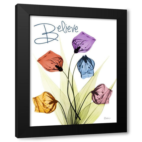 Believing Sandersonia Black Modern Wood Framed Art Print by Koetsier, Albert