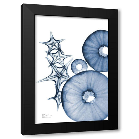 Indigo Aquatic Universe 1 Black Modern Wood Framed Art Print with Double Matting by Koetsier, Albert