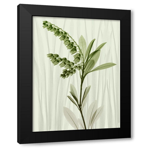 Radiant Greens 1 Black Modern Wood Framed Art Print with Double Matting by Koetsier, Albert