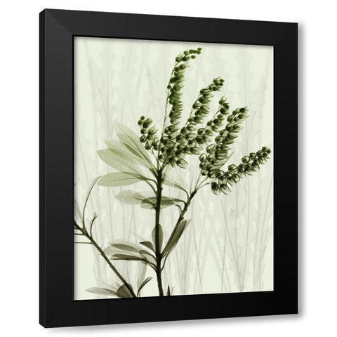 Radiant Greens 2 Black Modern Wood Framed Art Print by Koetsier, Albert