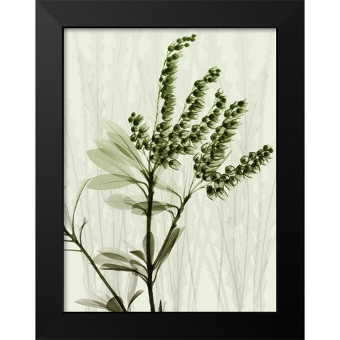 Radiant Greens 2 Black Modern Wood Framed Art Print by Koetsier, Albert