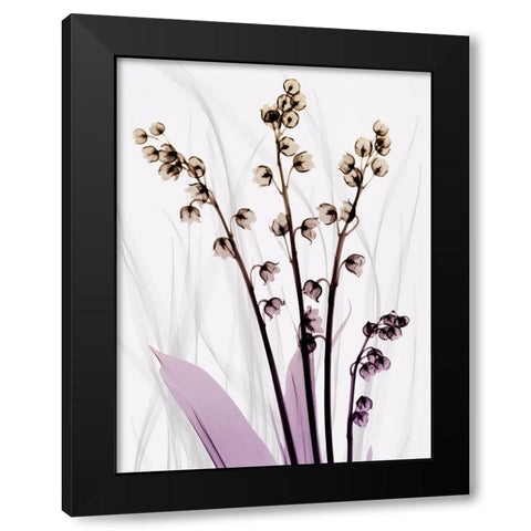 Radiant Snowdrops 3 Black Modern Wood Framed Art Print with Double Matting by Koetsier, Albert