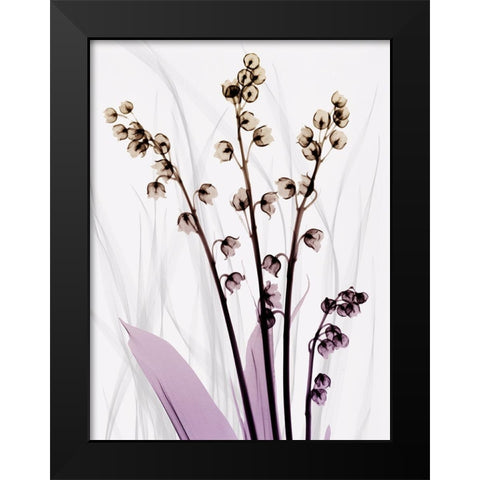 Radiant Snowdrops 3 Black Modern Wood Framed Art Print by Koetsier, Albert