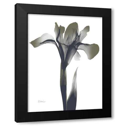Ombre Olive Iris 1 Black Modern Wood Framed Art Print with Double Matting by Koetsier, Albert