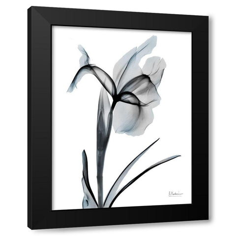 Ombre Sea Salt Iris 2 Black Modern Wood Framed Art Print by Koetsier, Albert