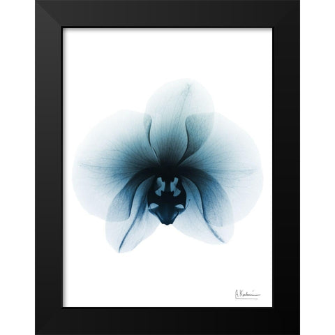 Glacial Orchid 1 RC Black Modern Wood Framed Art Print by Koetsier, Albert