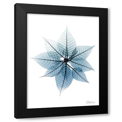 Iced Poinsettia 1 RC Black Modern Wood Framed Art Print by Koetsier, Albert