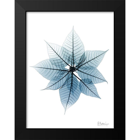 Iced Poinsettia 1 RC Black Modern Wood Framed Art Print by Koetsier, Albert