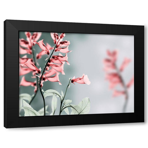 Unfocused Beauty 2 Black Modern Wood Framed Art Print with Double Matting by Koetsier, Albert