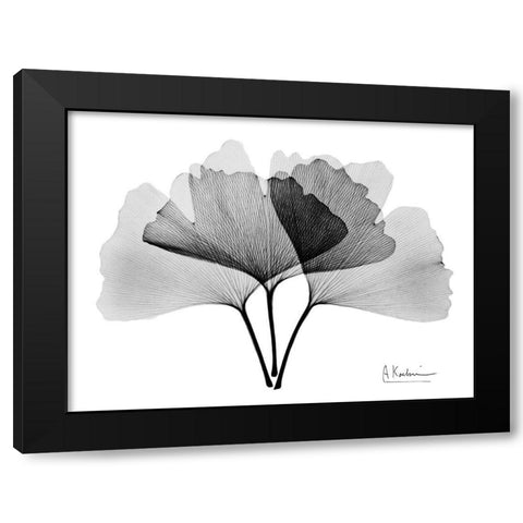 Inverted Ginko 2 Black Modern Wood Framed Art Print by Koetsier, Albert