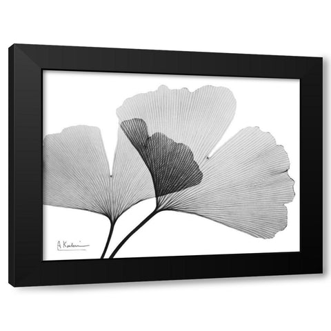 Inverted Ginko 3 Black Modern Wood Framed Art Print with Double Matting by Koetsier, Albert