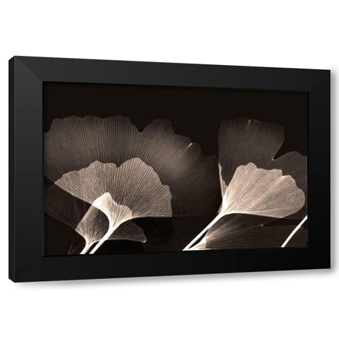 Chocolate Ginko Black Modern Wood Framed Art Print with Double Matting by Koetsier, Albert