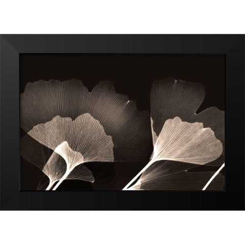 Chocolate Ginko Black Modern Wood Framed Art Print by Koetsier, Albert