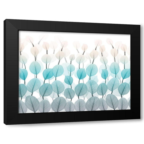 Spring Skyward 1 Black Modern Wood Framed Art Print by Koetsier, Albert