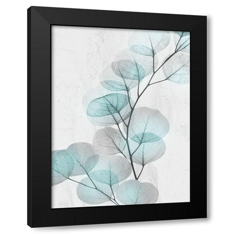 Eucalyptus Glow 4 Black Modern Wood Framed Art Print with Double Matting by Koetsier, Albert