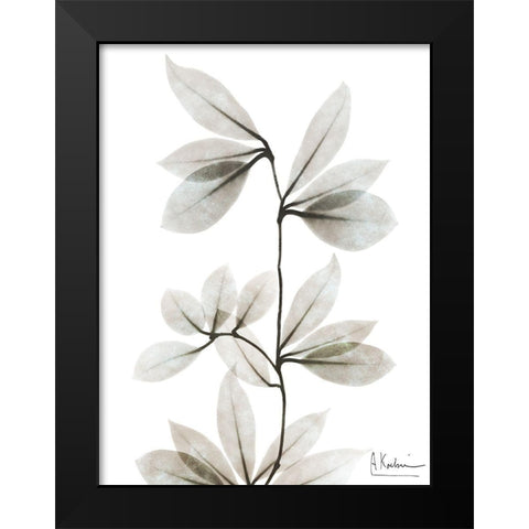 Sandy Wonder 3 Black Modern Wood Framed Art Print by Koetsier, Albert