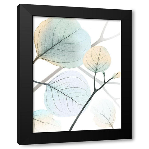 Sunkissed Eternity 1 Black Modern Wood Framed Art Print by Koetsier, Albert