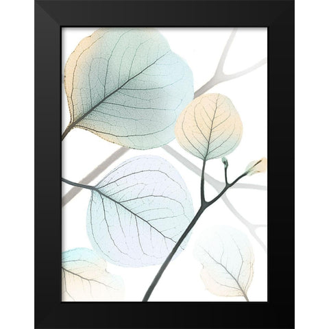 Sunkissed Eternity 1 Black Modern Wood Framed Art Print by Koetsier, Albert