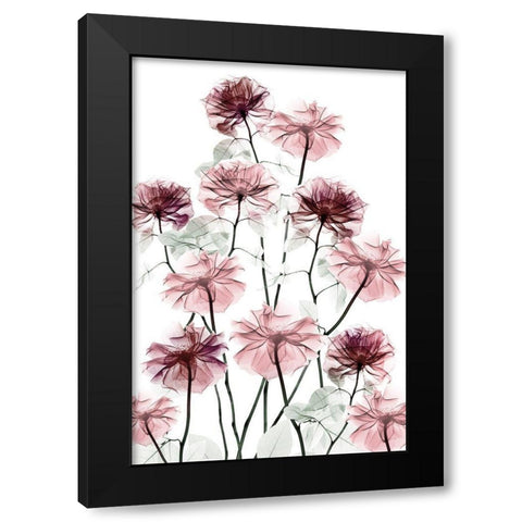 Magnificent Flower Bed 2 Black Modern Wood Framed Art Print with Double Matting by Koetsier, Albert