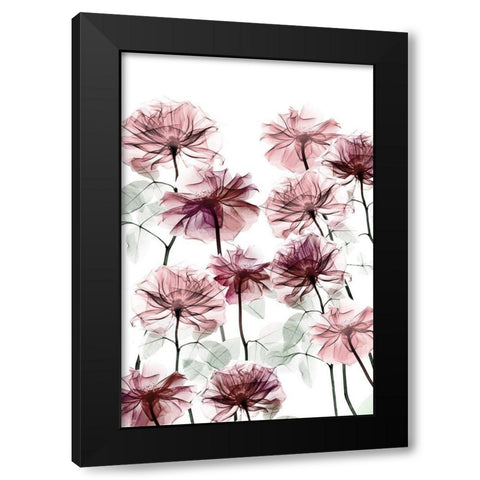 Magnificent Flower Bed 3 Black Modern Wood Framed Art Print with Double Matting by Koetsier, Albert