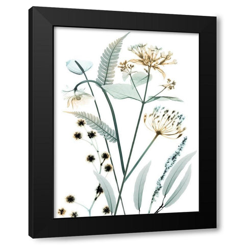 Proud Growth 1 Black Modern Wood Framed Art Print with Double Matting by Koetsier, Albert