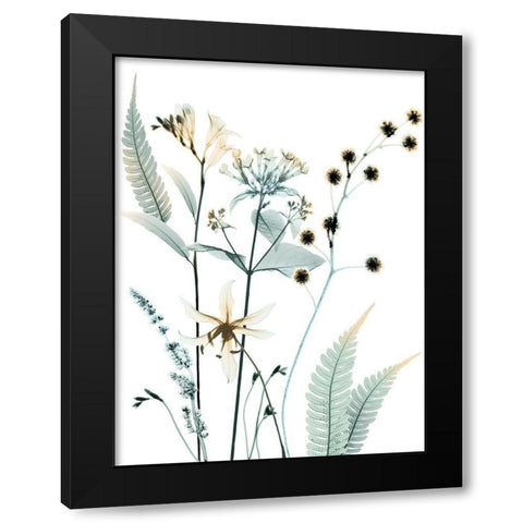 Proud Growth 2 Black Modern Wood Framed Art Print with Double Matting by Koetsier, Albert