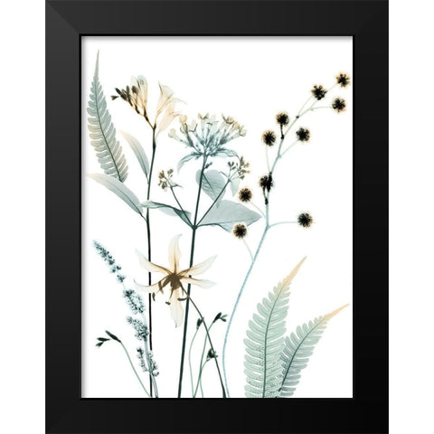 Proud Growth 2 Black Modern Wood Framed Art Print by Koetsier, Albert