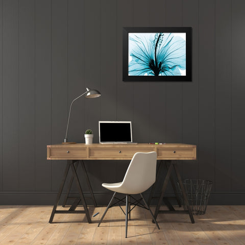 Aqua Hibiscus Black Modern Wood Framed Art Print by Koetsier, Albert