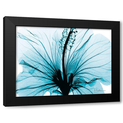 Aqua Hibiscus Black Modern Wood Framed Art Print with Double Matting by Koetsier, Albert