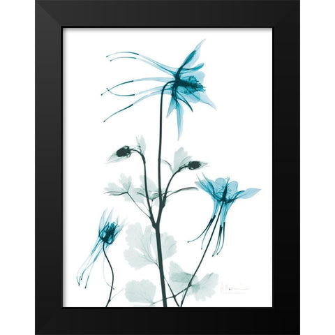 Aqua Columbine Black Modern Wood Framed Art Print by Koetsier, Albert