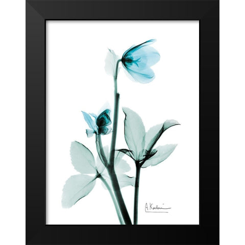 Aqua Helle Borus Black Modern Wood Framed Art Print by Koetsier, Albert