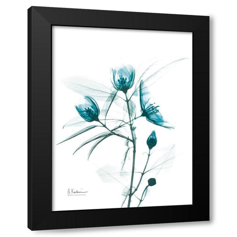 Aqua Beautiful Gowth 2 Black Modern Wood Framed Art Print with Double Matting by Koetsier, Albert