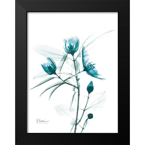 Aqua Beautiful Gowth 2 Black Modern Wood Framed Art Print by Koetsier, Albert