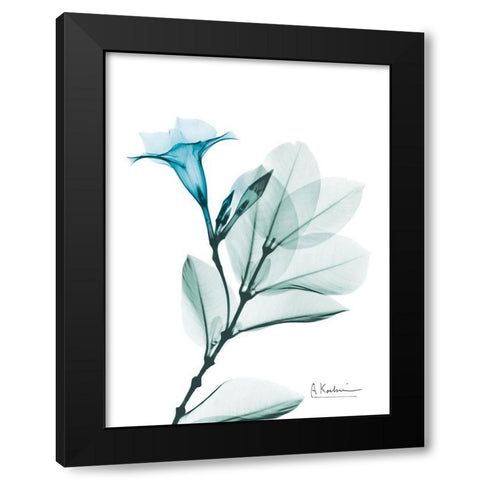 Aqua Mandelilla Black Modern Wood Framed Art Print by Koetsier, Albert