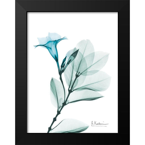 Aqua Mandelilla Black Modern Wood Framed Art Print by Koetsier, Albert