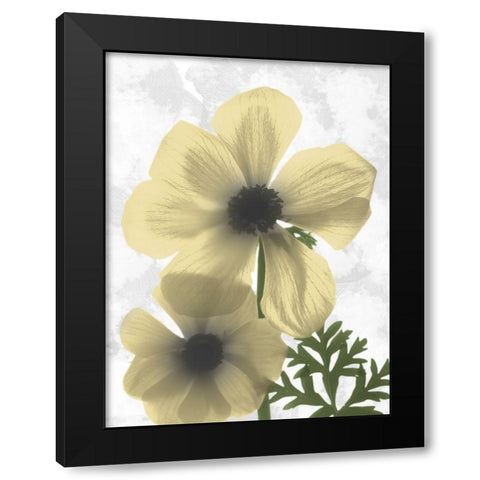 Bright Magnolia 2 Black Modern Wood Framed Art Print by Koetsier, Albert