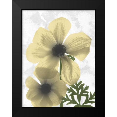 Bright Magnolia 2 Black Modern Wood Framed Art Print by Koetsier, Albert