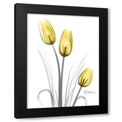 Illuminating Tulip Trio Black Modern Wood Framed Art Print with Double Matting by Koetsier, Albert