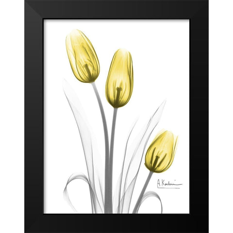 Illuminating Tulip Trio Black Modern Wood Framed Art Print by Koetsier, Albert