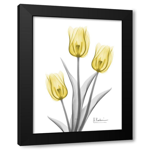 Illuminating Tulip Trio 2 Black Modern Wood Framed Art Print by Koetsier, Albert