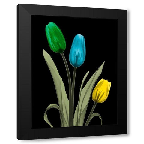 Jeweled Tulip Trio 3 Black Modern Wood Framed Art Print by Koetsier, Albert