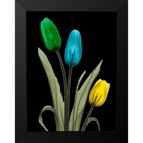 Jeweled Tulip Trio 3 Black Modern Wood Framed Art Print by Koetsier, Albert