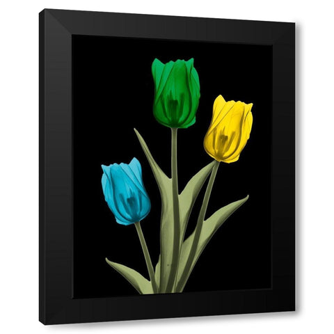 Jeweled Tulip Trio 4 Black Modern Wood Framed Art Print by Koetsier, Albert